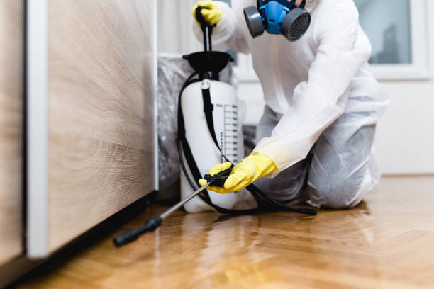 Pest Control for Restaurants in Fayetteville, PA