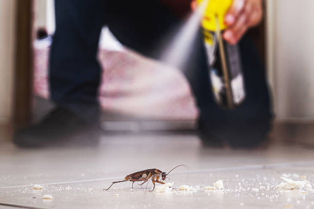 Best Cockroach Control Services  in Fayetteville, PA