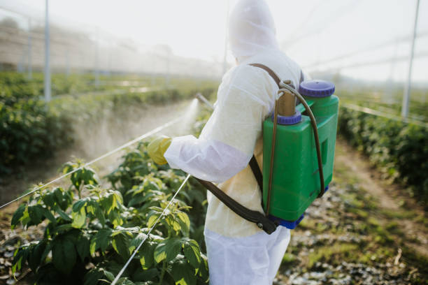  Fayetteville, PA Pest Control Pros